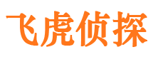 颍泉市婚外情调查